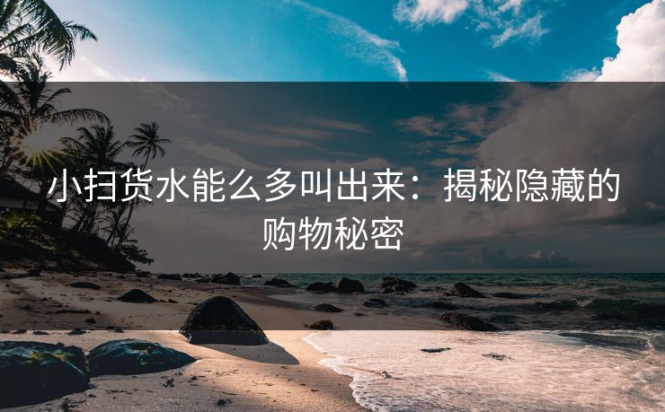 小扫货水能么多叫出来：揭秘隐藏的购物秘密