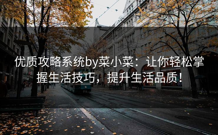 优质攻略系统by菜小菜：让你轻松掌握生活技巧，提升生活品质！