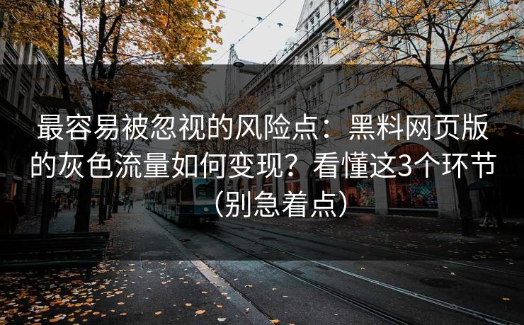 最容易被忽视的风险点：黑料网页版的灰色流量如何变现？看懂这3个环节（别急着点）